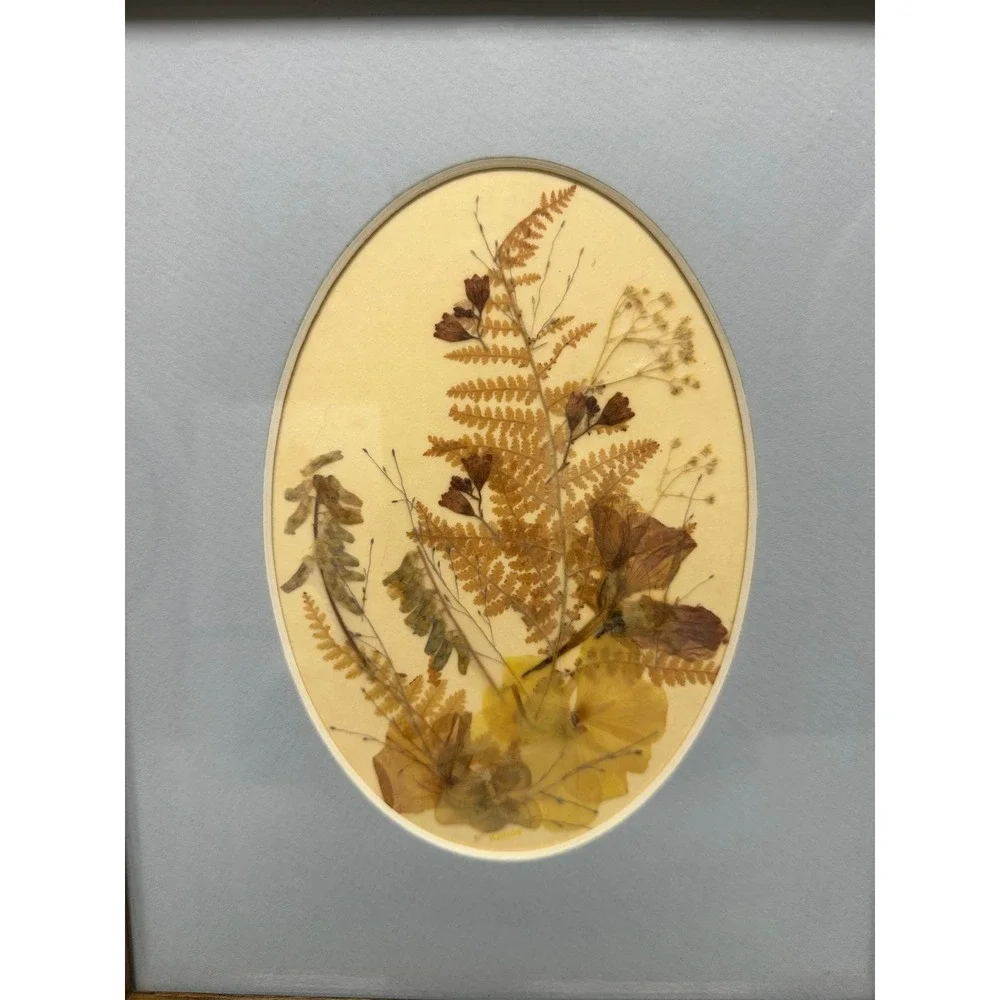 VTG Set of 2 Framed Dried Pressed Fern Flowers Botanical‎ Art Oval Cottagecore
